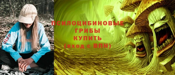 apvp Армянск